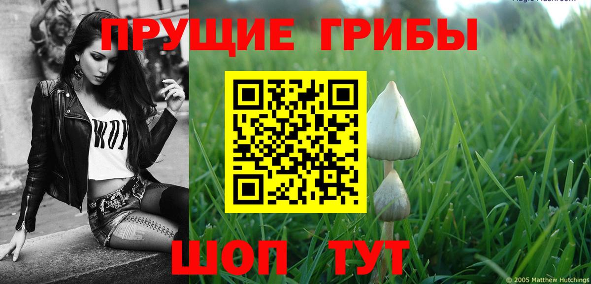 Котовск  Псилоцибиновые грибы ЛСД  Вход с VPN  Псилоцибиновые грибы мицелий 